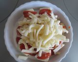 高野豆腐のトマトグラタン風作り方5写真
