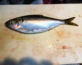 アジの変わり揚げ!!画像なしですみません作り方1写真