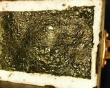 おつまみ＆お弁当に☆卵白だけの卵焼き作り方3写真
