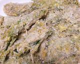 我が家のササミとチーズの大葉包み揚げ作り方8写真