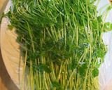 豆苗とオートミールのヘルシー☆肉団子蒸し作り方2写真