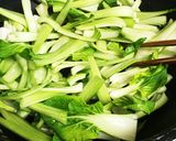 チンゲン菜と胸肉の☆さっぱり塩レモン炒め作り方22写真