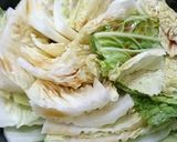 白菜とがんもどきのレンジ蒸し作り方3写真