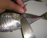 魚を捌こう！あじのたたき編作り方4写真