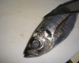 魚を捌こう！あじのたたき編作り方2写真