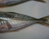 魚を捌こう！あじのたたき編作り方3写真
