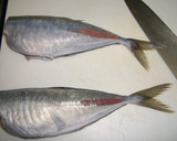 魚を捌こう！あじのたたき編作り方9写真
