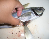 魚を捌こう！あじのたたき編作り方6写真
