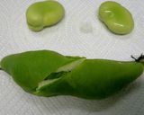 皮むき簡単！空豆のゆで方～しっかり塩味～作り方2写真