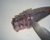 魚を捌こう！あじのたたき編作り方23写真