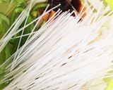 レンチン一発幼児食にも。春雨のスープ煮。作り方4写真