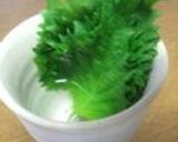 ビックリするほど大葉が長持ちする方法！作り方4写真