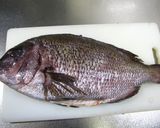 鯛の塩釜焼（お腹から大きな卵が？）作り方1写真