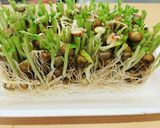 ♡定番♡豆苗炒め作り方5写真