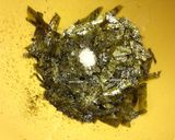 ふりかけ活躍常備菜　もやしの和風ナムル作り方1写真