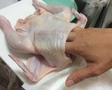 簡単、手抜きで丸焼き!カレー味♬作り方3写真