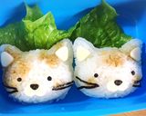 お弁当にも。ささみのトマトチーズカツ作り方15写真
