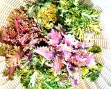 プチヴェール、エリンギ、新玉葱の焼きそば作り方1写真