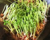 朝食にササっと☆豆苗ツナトマト炒め作り方5写真