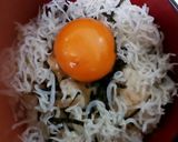 我が家のシラス丼ぶり作り方4写真