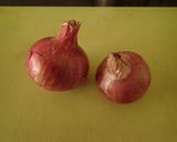 辛くないインドチキンカレー作り方1写真