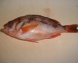 メバルの煮付け作り方1写真