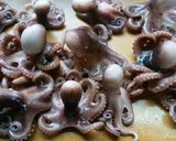 イイダコの天ぷら作り方5写真