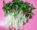 柔らか水晶鶏と香味野菜の冷しゃぶ風作り方3写真