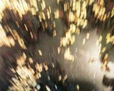 赤紫蘇ジュースの紫蘇でソフトふりかけ作り方6写真