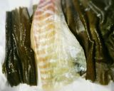 塩麹で作る鯛の昆布締め作り方4写真