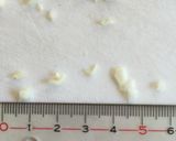 羽根つき餃子作り方1写真