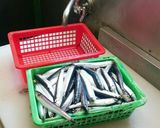 アンチョビ:覚書作り方1写真