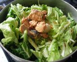 レンジで煮物＊春キャベツと鯖缶作り方1写真