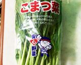 お弁当やおつまみに！簡単小松菜のナムル作り方1写真