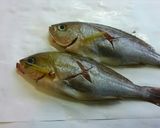 煮魚 いさきの煮付け作り方1写真