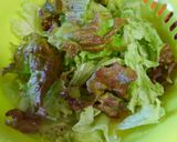 ちしゃっ葉の胡麻味噌和え♪作り方1写真