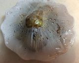里芋の生ハム巻き作り方1写真