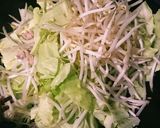 辛味と酸味が効いた☆餃子風炒め☆作り方3写真