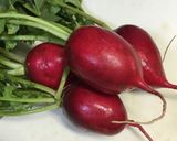 二十日大根の甘酢漬け作り方1写真