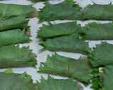 我が家のササミとチーズの大葉包み揚げ作り方7写真