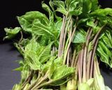 山菜食べよう！春の山菜おにぎり作り方1写真