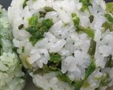 山菜食べよう！春の山菜おにぎり作り方3写真