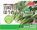 【簡単】ほうれんそうの胡麻和え作り方1写真