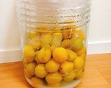お塩と梅の実で。自家製梅干し作り方11写真