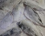 オレンジ香る鯵の南蛮漬け作り方3写真