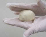 あわしま堂の和菓子でトースターあんパン作り方12写真
