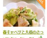 春キャベツと大根のさっぱり和え（酢の物）作り方9写真
