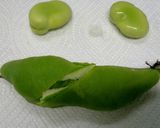 空豆の冷凍保存～生で冷凍する方法～作り方2写真