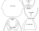 仮面ライダー ゴースト 英雄 キャラ弁作り方28写真