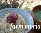 ムメフラールでツヤ肌に♪焼き梅干し作り方6写真
